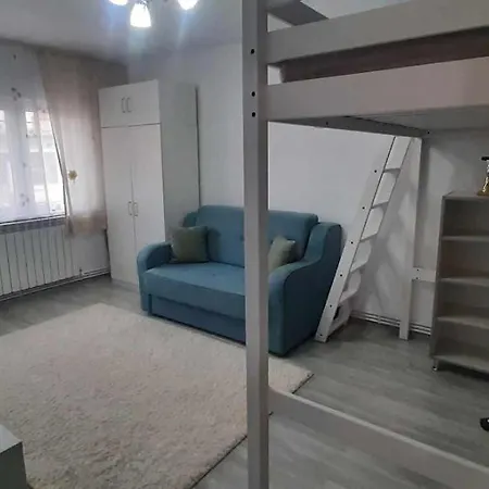 Garsoniera La Anca Lupeni-straja Apartment