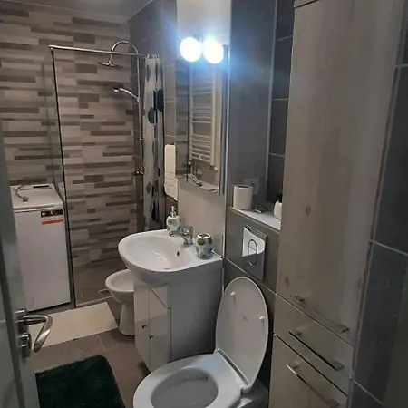 Apartment Garsoniera La Anca Lupeni-straja *