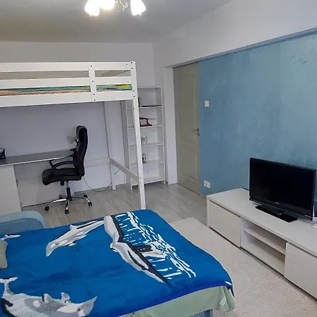 Garsoniera La Anca Lupeni-straja Apartment
